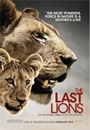 LLION - The Last Lions