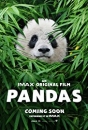 PNDAS - Pandas