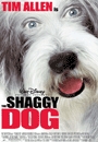 SHAGY - The Shaggy Dog