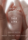 TRELF - The Tree of Life