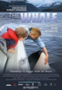 TWHAL - The Whale