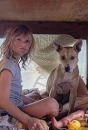 DLGDT - Don’t Let’s Go to the Dogs Tonight