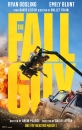 FALGY - The Fall Guy