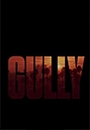 GULLY - Gully