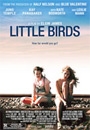 LTBRD - Little Birds