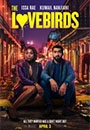 LVBRD - The Lovebirds