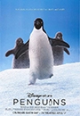 PENGN - Penguins