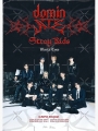 SKTDE - Stray Kids: The dominATE Experience